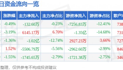 股票行情快报:山金国际(000975)9月19日主力资金净卖出132.60万元