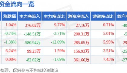 股票行情快报：南极光（300940）1月17日主力资金净买入376.02万元