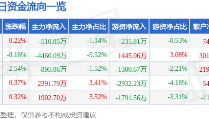 股票行情快报:山金国际(000975)8月13日主力资金净卖出510.85万元