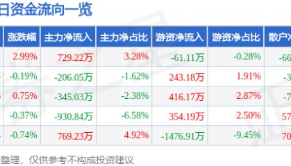 股票行情快报：国网英大（600517）7月21日主力资金净买入729.22万元