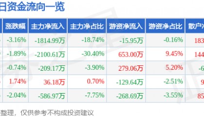 股票行情快报：九鼎投资（600053）3月13日主力资金净卖出1814.99万元