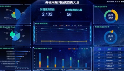 软件漏洞分类(软件漏洞的危害)