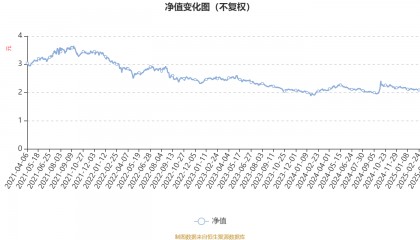 摩根大盘蓝筹股票A：2024年利润1086.73万元 净值增长率5.88%