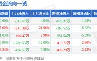 股票行情快报：*ST九鼎（600053）5月20日主力资金净卖出318.57万元