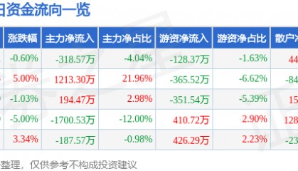 股票行情快报：*ST九鼎（600053）5月20日主力资金净卖出318.57万元