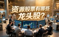 资源股票有哪些龙头股？谁在收割周期红利？谁在刀尖舔血？