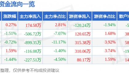 股票行情快报：南极光（300940）2月19日主力资金净买入174.58万元