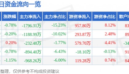 股票行情快报：吉电股份（000875）3月5日主力资金净卖出1796.31万元