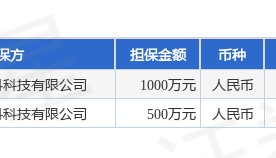 瑞泰科技披露2笔对外担保，被担保方为安徽瑞泰新材料科技有限公司