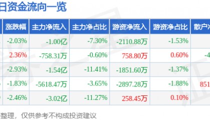股票行情快报：每日互动（300766）5月13日主力资金净卖出1.00亿元