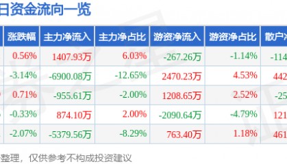 股票行情快报:山金国际(000975)8月1日主力资金净买入1407.93万元