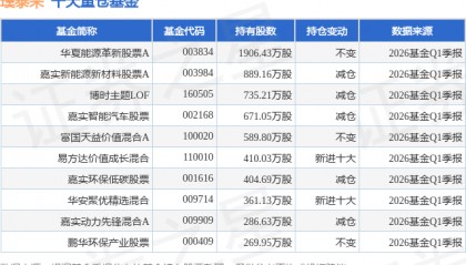 6月30日璞泰来涨5.24%，华夏能源革新股票A基金重仓该股