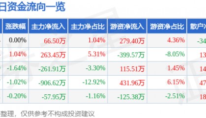 股票行情快报：国网英大（600517）5月27日主力资金净买入66.50万元