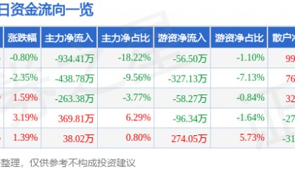 股票行情快报：空港股份（600463）5月13日主力资金净卖出934.41万元