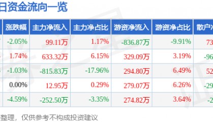 股票行情快报：国创高新（002377）2月24日主力资金净买入99.11万元