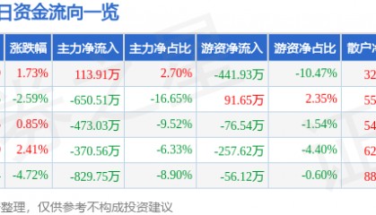股票行情快报：九鼎投资（600053）3月27日主力资金净买入113.91万元