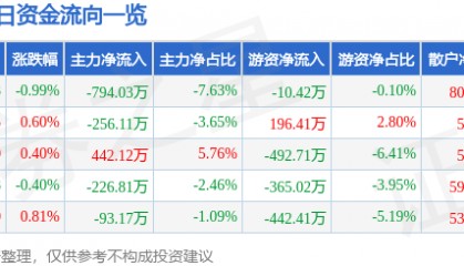 股票行情快报：国网英大（600517）6月13日主力资金净卖出794.03万元