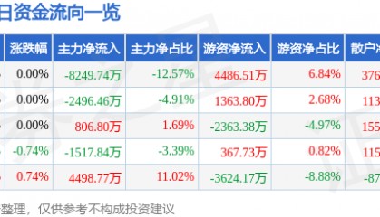 股票行情快报：永泰能源（600157）6月13日主力资金净卖出8249.74万元