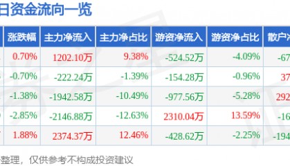 股票行情快报：江南化工（002226）3月24日主力资金净买入1202.10万元