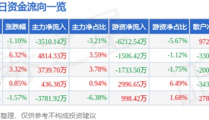 股票行情快报:山金国际(000975)9月2日主力资金净卖出3510.14万元