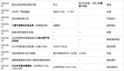京东方A（000725.SZ）投研报告