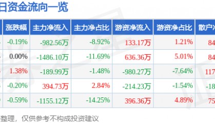股票行情快报：吉电股份（000875）2月5日主力资金净卖出982.56万元
