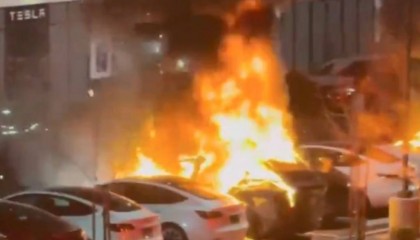 马斯克把自己玩进去了，亲弟弟带头抛售股票，全美国的希望要没了