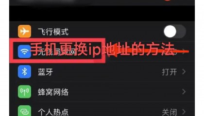 国内换ip软件(换ip软件有用吗)