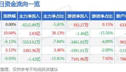 股票行情快报：神剑股份（002361）1月17日主力资金净卖出6515.89万元