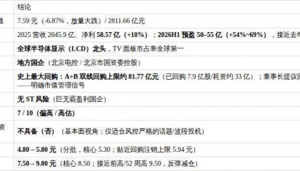 京东方A（000725.SZ）专业投资分析报告
