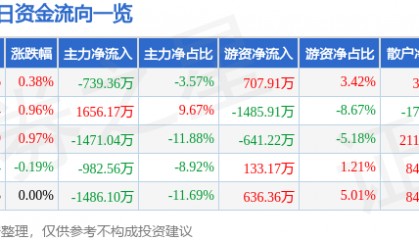 股票行情快报：吉电股份（000875）2月10日主力资金净卖出739.36万元