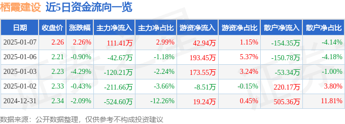 股票行情快报：栖霞建设（600533）1月7日主力资金净买入111.41万元