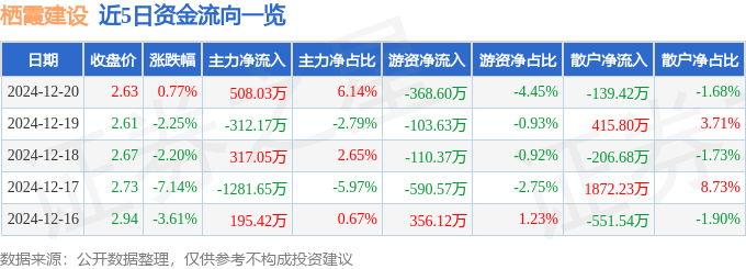 股票行情快报：栖霞建设（600533）12月20日主力资金净买入508.03万元