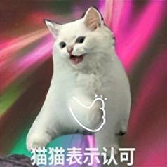 0 手续费转账，QQ 这个新功能，终于等到了！