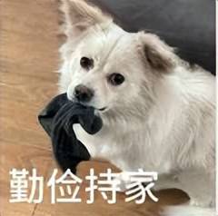 0 手续费转账，QQ 这个新功能，终于等到了！