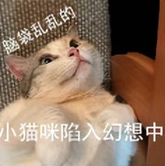 0 手续费转账，QQ 这个新功能，终于等到了！