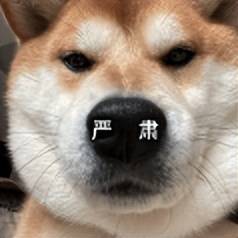 0 手续费转账，QQ 这个新功能，终于等到了！