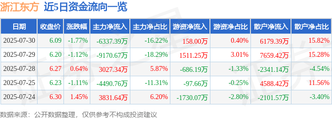 股票行情快报:浙江东方(600120)7月30日主力资金净卖出6337.39万元
