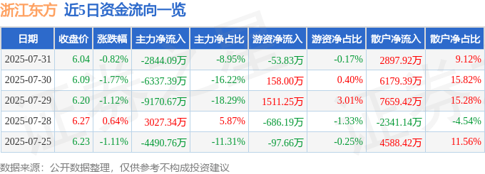 股票行情快报：浙江东方（600120）7月31日主力资金净卖出2844.09万元