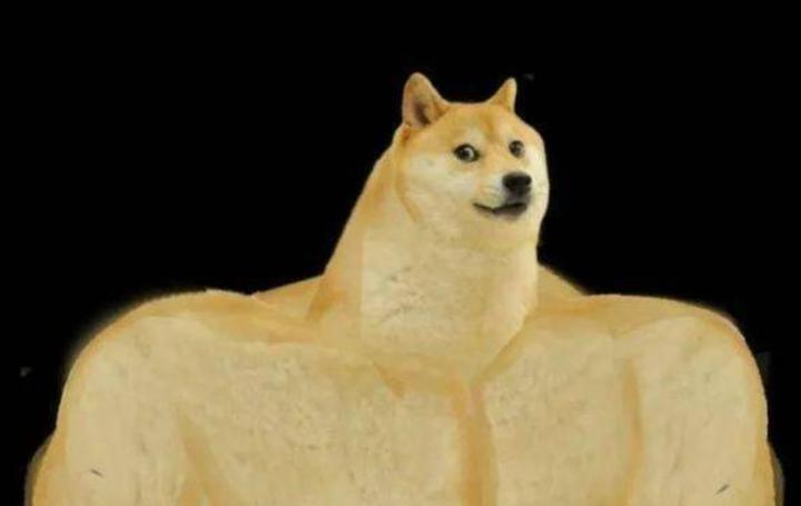 doge是什么意思(doge是什么意思表情)