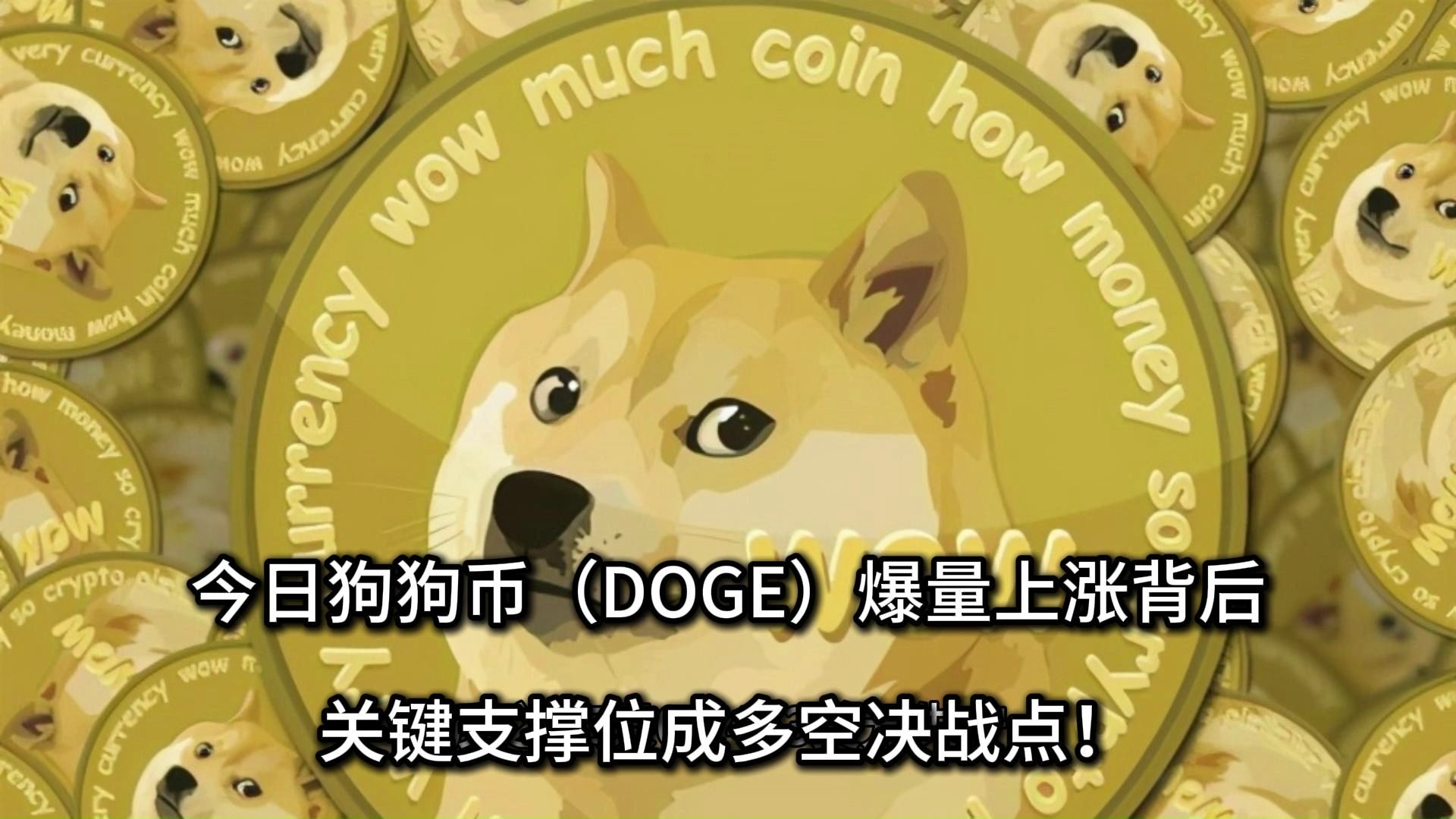 doge行情(doge币行情分析)
